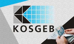 KOSGEB kesenin ağzını açtı! 150. 000 BİN TL hibe hesaplara yatacak! İş kurmak isteyenlere müjde! Devletten destek