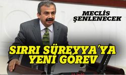 Meclis şenlenecek, Sırrı Süreyya Önder'e  yeni görev