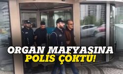 İstanbul'da organ mafyasına polis çöktü!