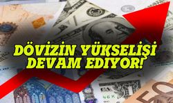 Dövizin yükselişi devam ediyor