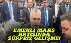 Emekli maaşlarına ne kadar artış yapılacak! Bakan enflasyonu işaret etti! Zam oranı ne kadar olacak?