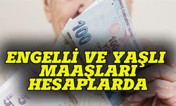 Bakan Göktaş’tan dar gelirlilere bayram öncesi müjde geldi: Yaşlı ve engelli maaşları bugün hesaplarda