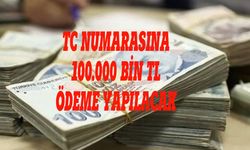 Hesaplara 100.000 BİN TL yatacak! TC Kimlik Son Rakamları 0-2-3-4-5-6-8 olan herkese verilecek