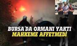 Bursa’da ormanı yaktı, mahkeme affetmedi