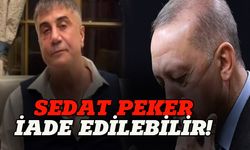 Sedat Peker iade edilebilir!