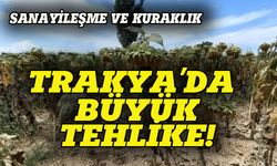 Trakya'da büyük tehlike, yağmur yağmazsa kıtlık olacak