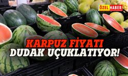 Karpuz fiyatları dudak uçuklatıyor