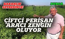 Bursa'da çiftçi perişan, aracı zengin oluyor!