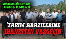 Kestel Ziraat Odası Başkanı Kılıç: Tarım arazilerine ihanetten vazgeçin