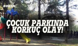 Bursa'daki çocuk parkında korkunç olay!