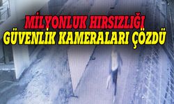 Bursa'da villaya giren hırsızı güvenlik kameraları yakalattı