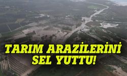 Bursa'da sel tarım arazilerini yuttu!