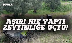Bursa'da zeytinliğe uçan otomobil hurdaya döndü