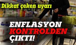TÜSİAD Başekonomisti Altınsaç: Enflasyon kontrolden çıktı