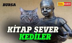 Bursa'daki Kitap Okuyan Kız heykeli kedilerin ilgisini çekiyor