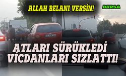 Bursa'da vicdanları sızlatan görüntü!