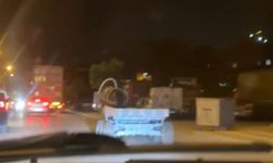 Bursa'da başıboş at arabası trafikte görüntülendi