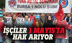 Bursa'da işçiler alanlarda