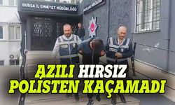 Bursa polisi azılı hırsızları yakaladı