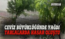 Bursa'yı dolu vurdu, tarlalarda zarar oluştu