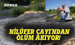 Bursa'daki o dereden ölüm akıyor