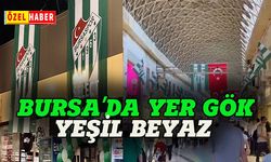 Bursa'da yer gök yeşil ve beyaz