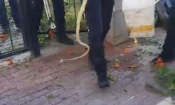 Bursa'da, siteye sızan yılan ecel teri döktürdü!