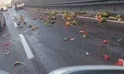 Bursa'da kamyonetten dökülen karpuz ve kavunlar...