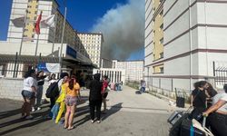 Uludağ Üniversitesi ormanları yanıyor, yurtlar boşaltıldı