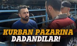 Dolandırıcılar sınır tanımıyor, kurban pazarında cirit atıyorlar