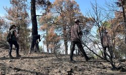 Büyükorhan'da yanan ormanlık alana tam 380 bin...