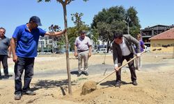 Osmangazi'nin eski yeşilliği ortaya çıkarılıyor