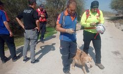 Bursa'da kaybolmuştu, cesedi bulundu!