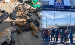 Gebze Belediyesi'ne boykot büyüyor