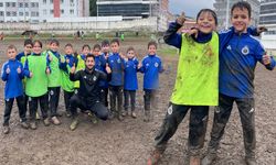 Mudanya'da futbol sahası patates tarlasına döndü!