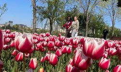 Bursa'nın park ve bahçelerinde olağanüstü görüntüler