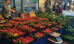 Bursa'da meyve fiyatları cep yakıyor