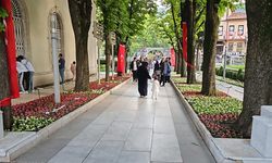 Bursa'da park ve bahçeler çiçek açtı