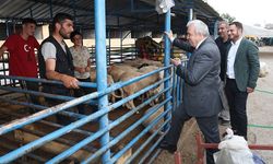 Bursa'da şok, kurban pazarı kapatıldı