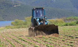 Bursa'da ekili arazileri DSİ dümdüz etti!