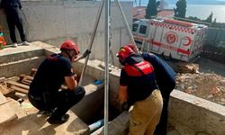 Çığlıkları sayesinde kurtuldu