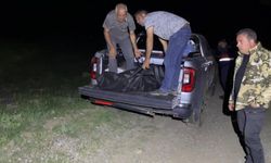 Pancar toplarken canından oldu!