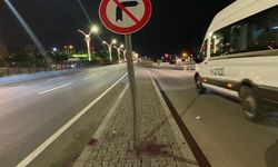 Feci kaza, 2 hayat soldu!