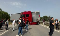 Tır şoförünü arı soktu, trafik altüst oldu!