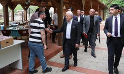 Bursa'nın Yenişehir ilçesi tarımla kalkınacak