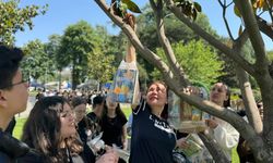 Ağaç dallarına kitap astılar