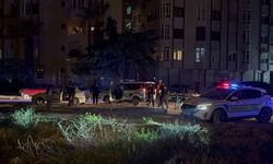 Alkol arkadaşı tarafından katledildi