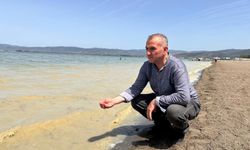İznik Gölü'nde çevre felaketi
