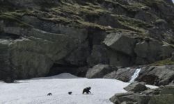 Uludağ'a gelenler gözlerine inanamadı