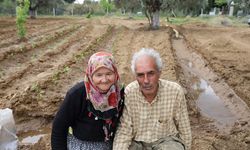 Huzuru daire de değil, toprakta buldular